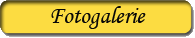 Fotogalerie